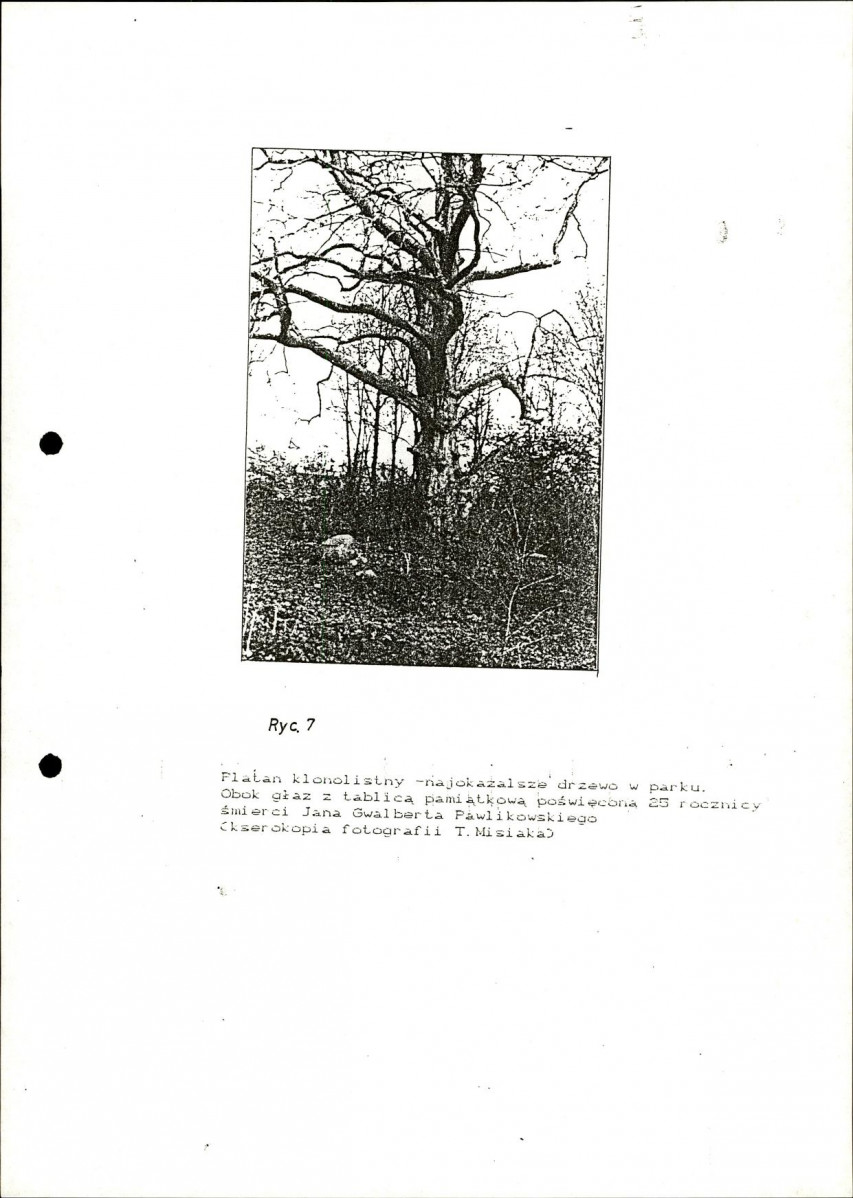 Ewidencja parkowa, skan nr 30