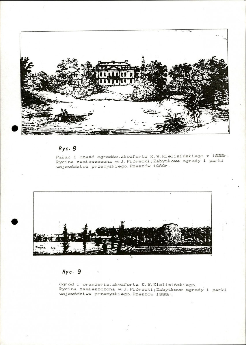 Ewidencja parkowa, skan nr 31