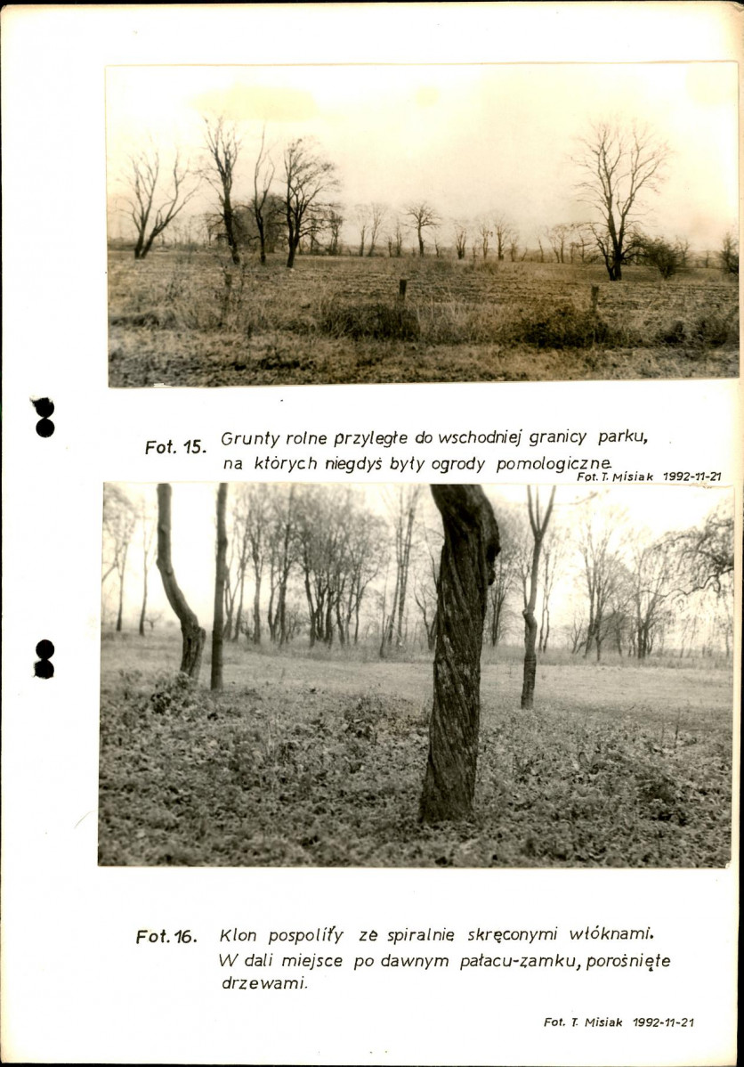 Ewidencja parkowa, skan nr 41