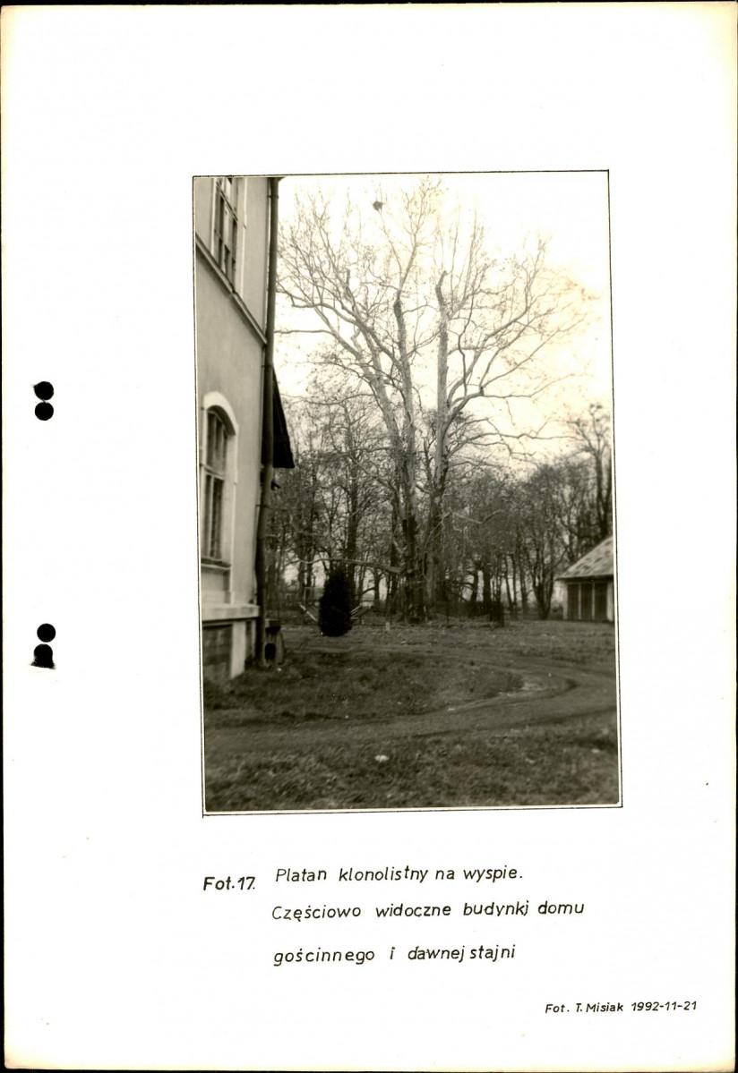 Ewidencja parkowa, skan nr 42