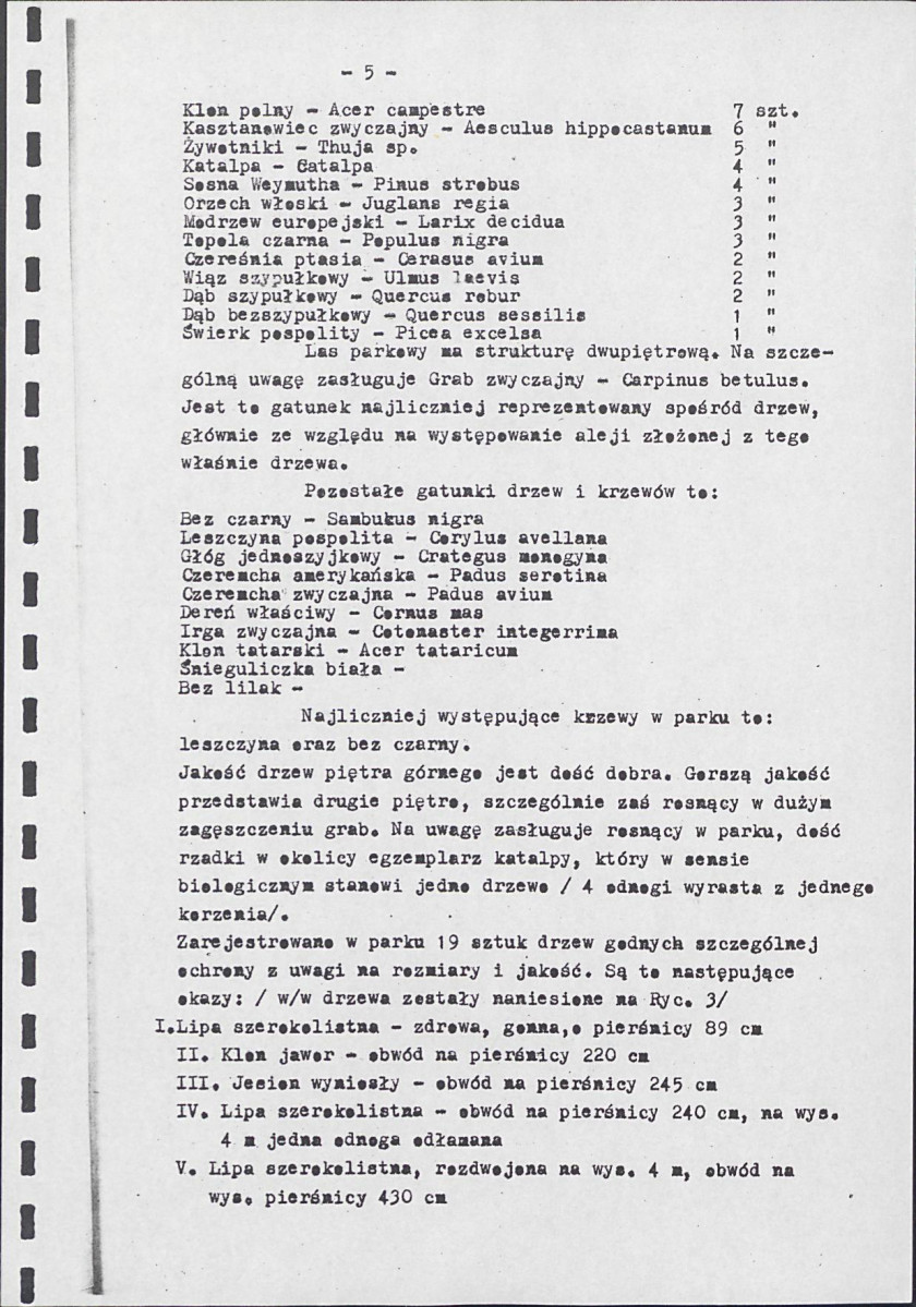 Ewidencja parkowa, skan nr 11