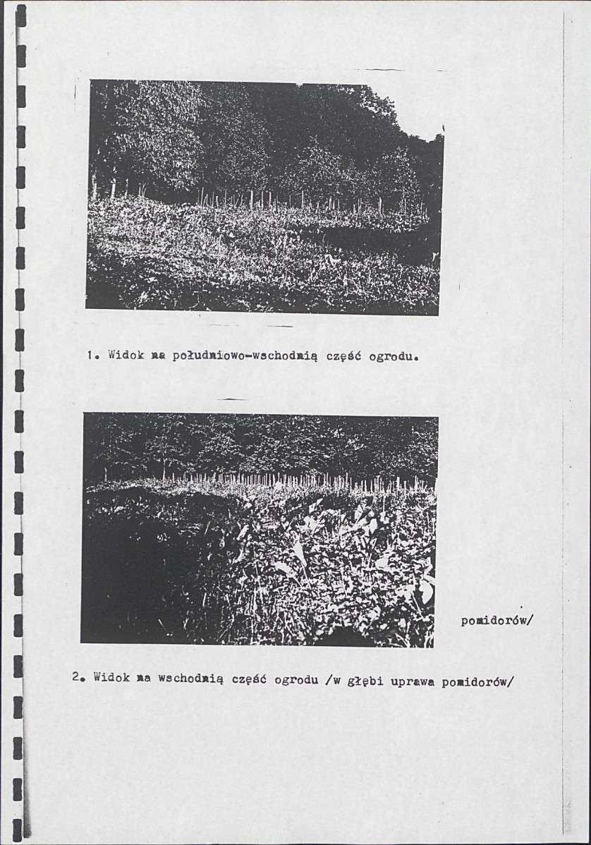 Ewidencja parkowa, skan nr 15