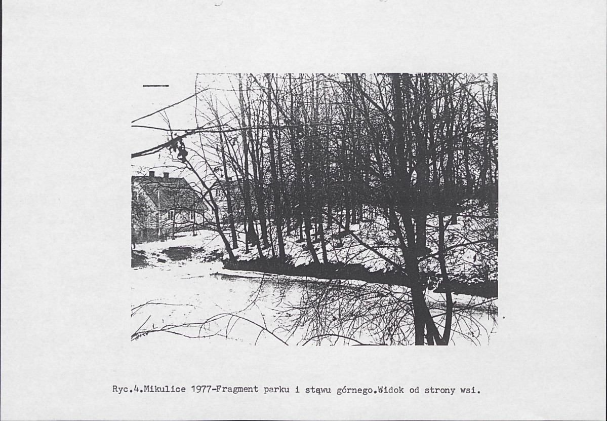 Ewidencja parkowa, skan nr 13