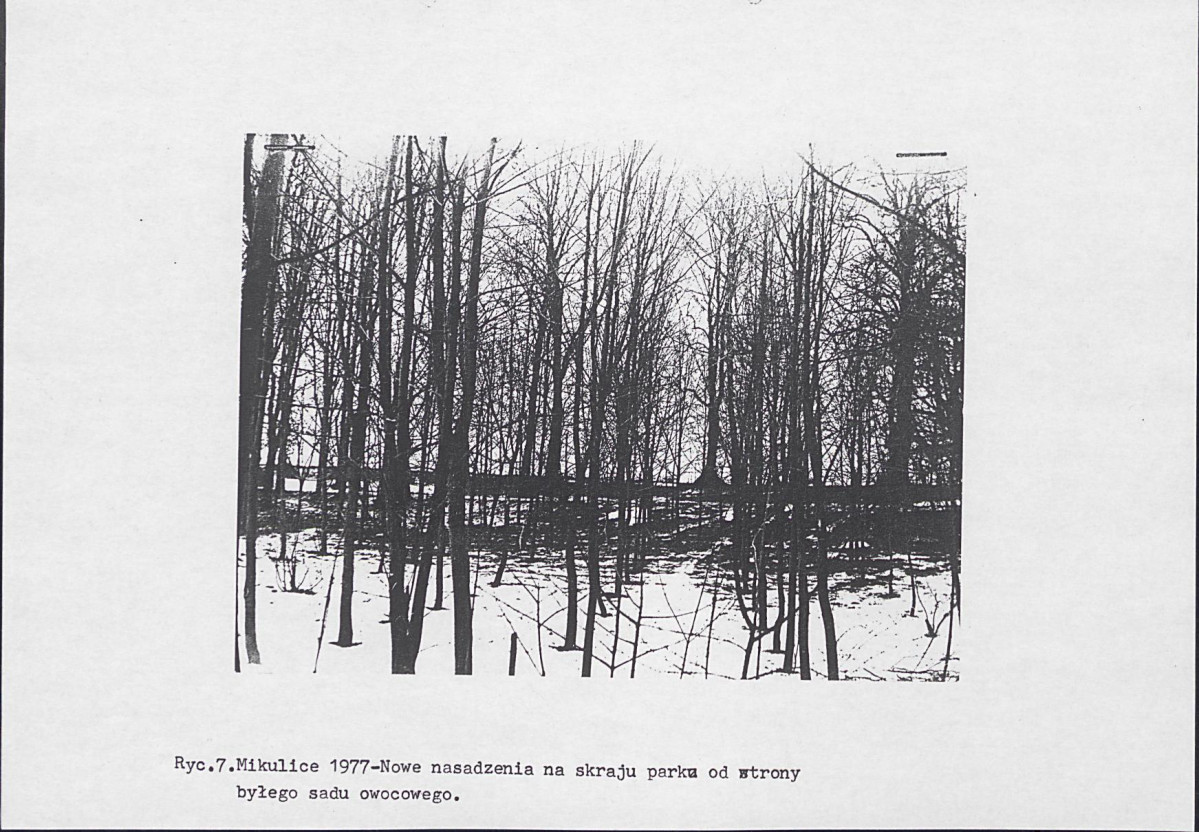 Ewidencja parkowa, skan nr 16