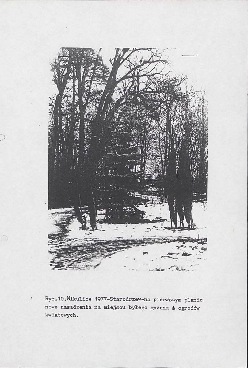Ewidencja parkowa, skan nr 19