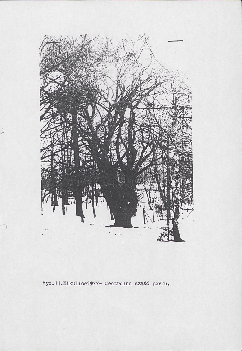 Ewidencja parkowa, skan nr 20