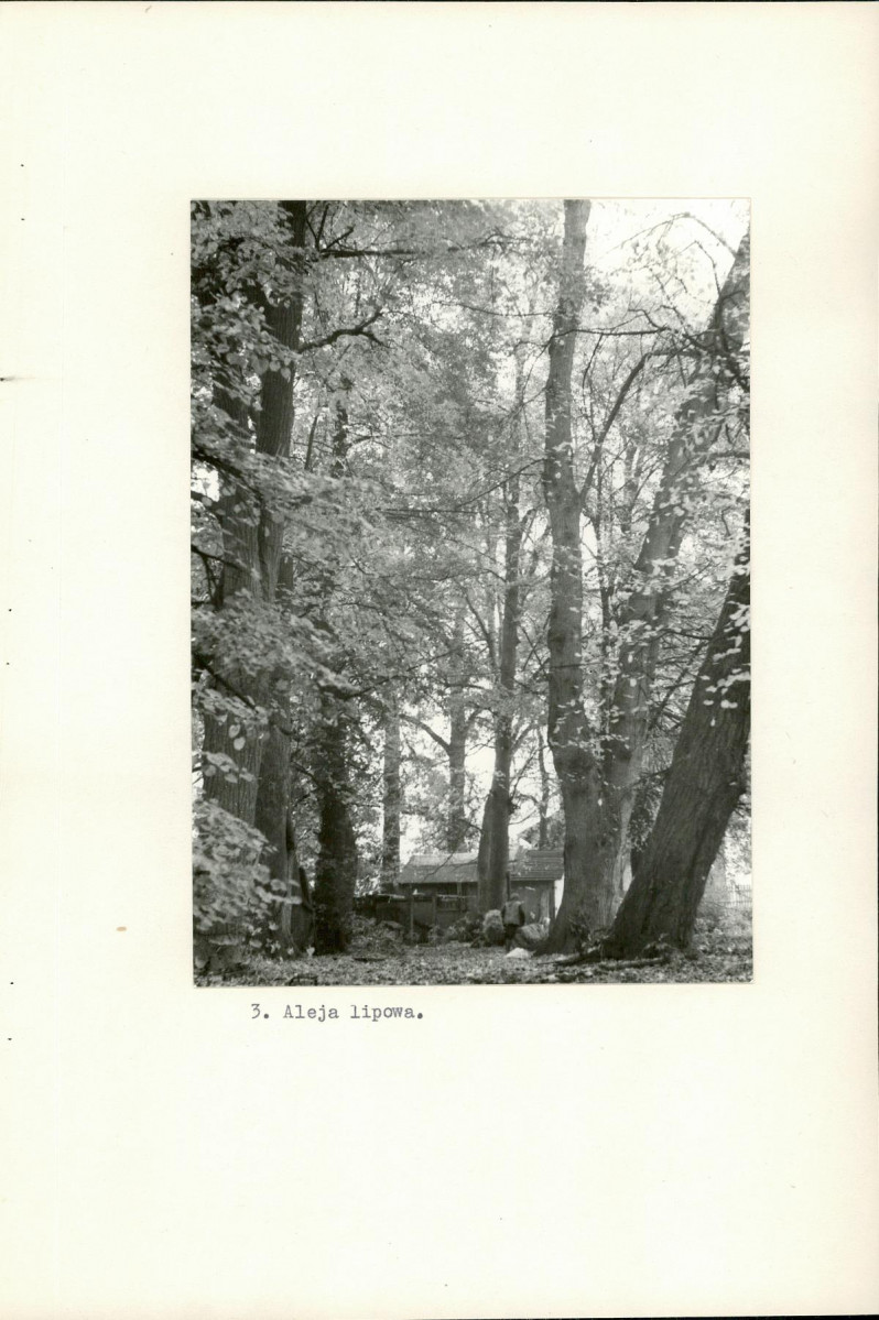 Ewidencja parkowa, skan nr 11