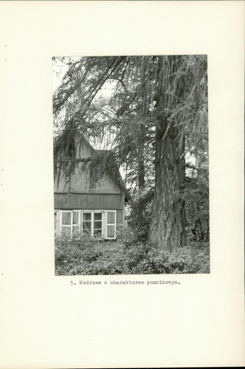 Ewidencja parkowa, skan nr 13