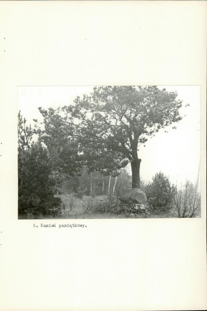 Ewidencja parkowa, skan nr 14