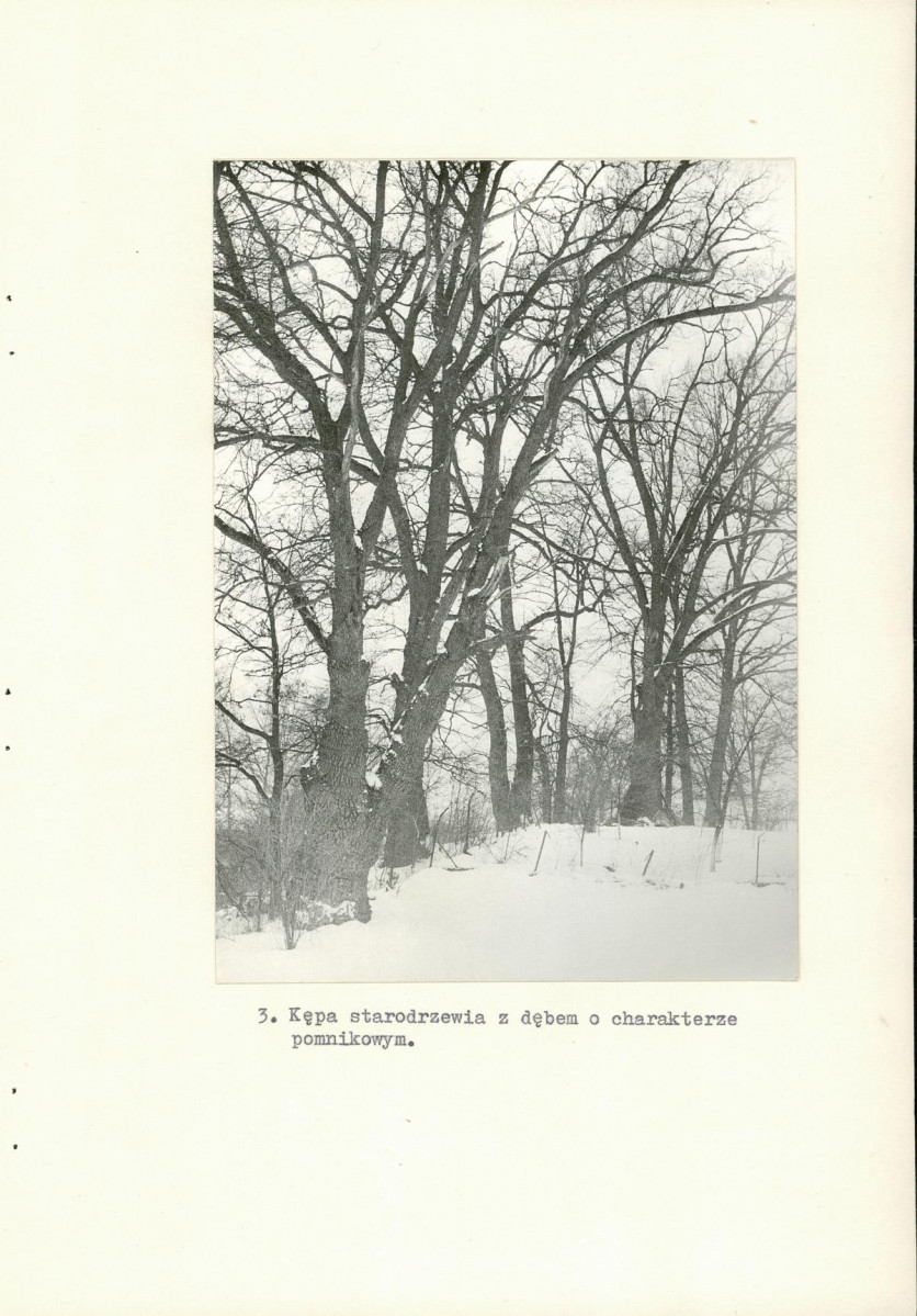 Ewidencja parkowa, skan nr 11