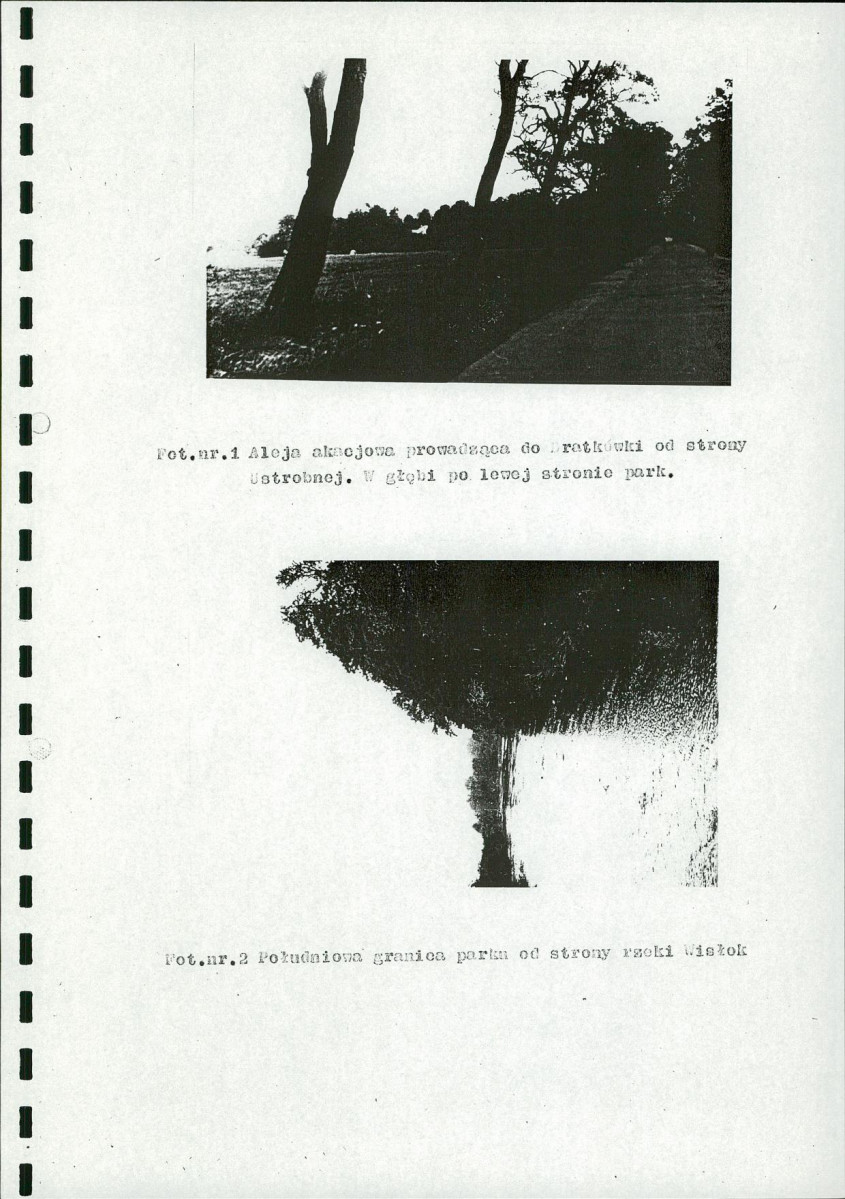 EP - Ewidencja parkowa, skan nr 19