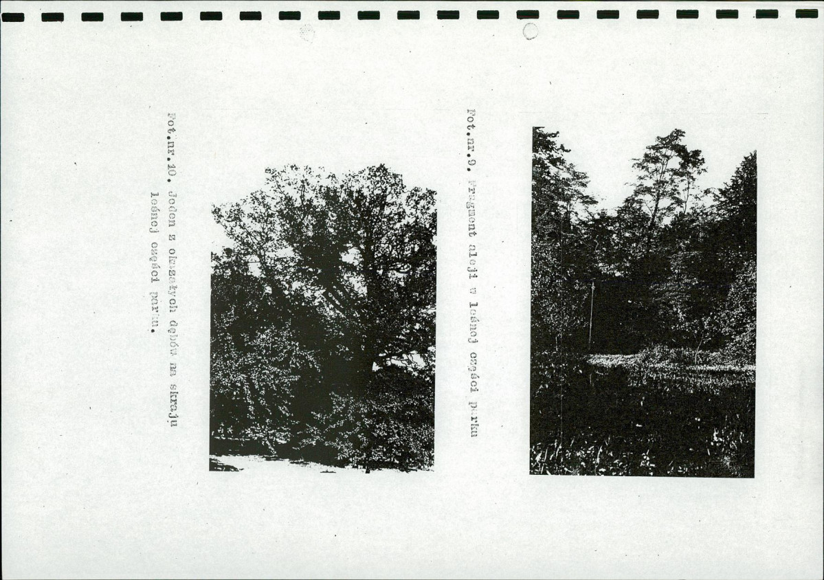 EP - Ewidencja parkowa, skan nr 23