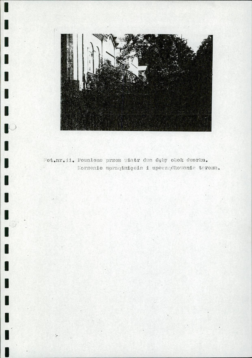 EP - Ewidencja parkowa, skan nr 24
