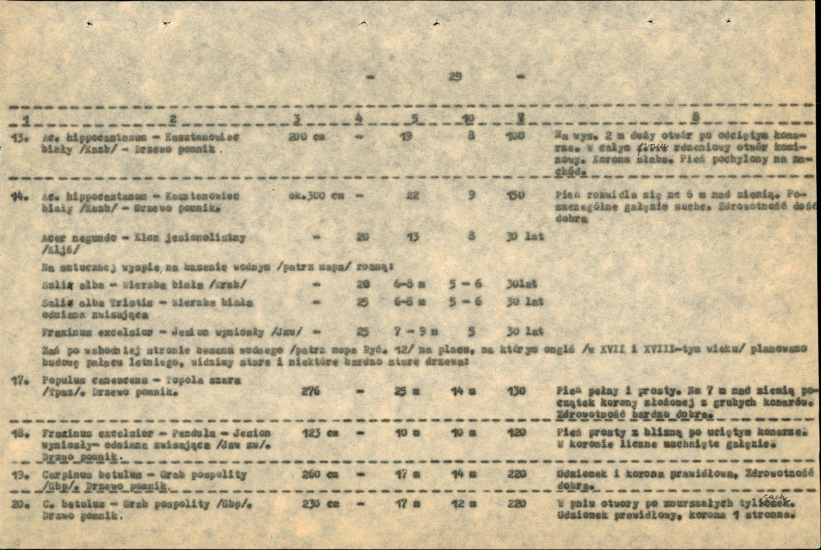 Ewidencja parkowa, skan nr 31