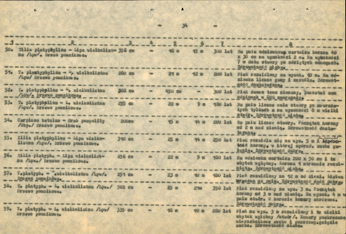 Ewidencja parkowa, skan nr 36