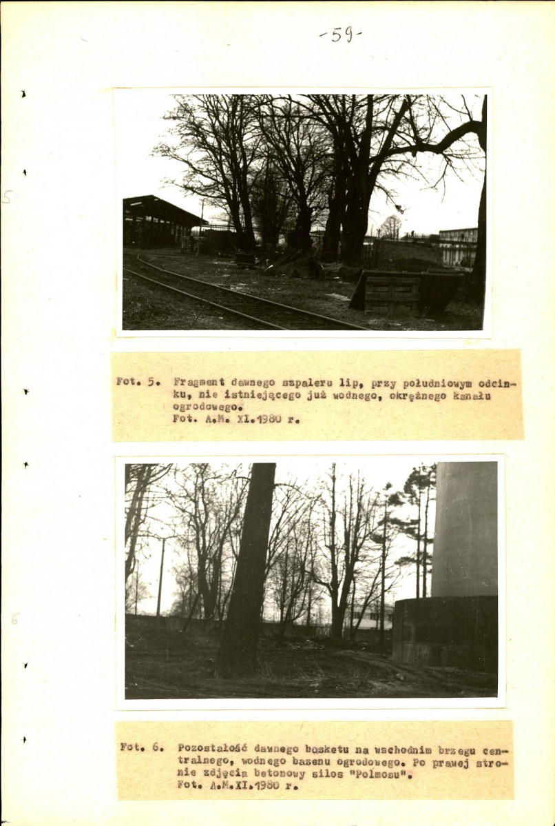 Ewidencja parkowa, skan nr 62