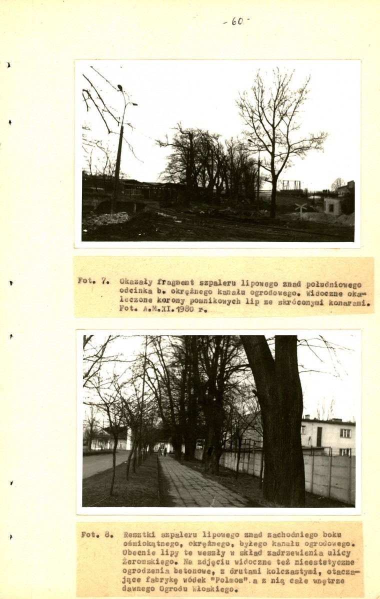 Ewidencja parkowa, skan nr 63