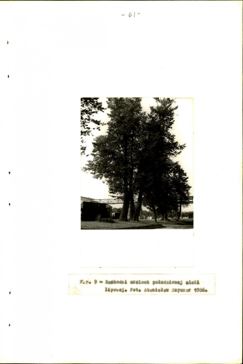 Ewidencja parkowa, skan nr 64