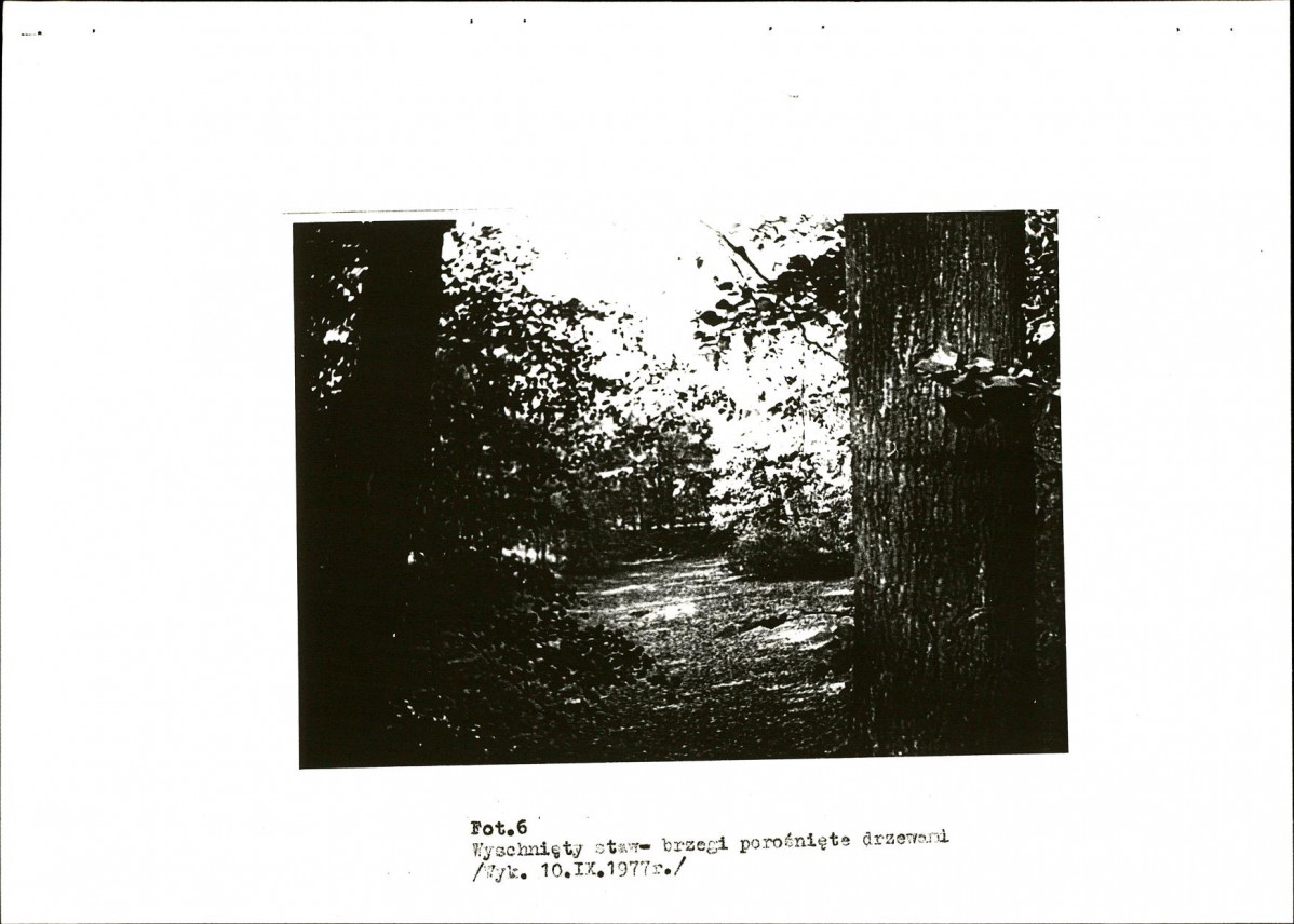 EP - Ewidencja parkowa, skan nr 23