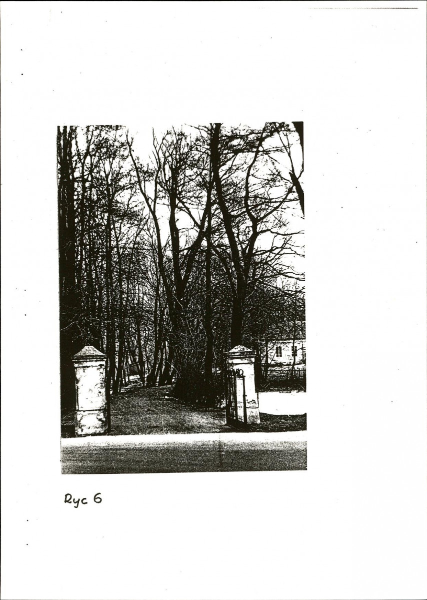 Ewidencja parkowa, skan nr 19