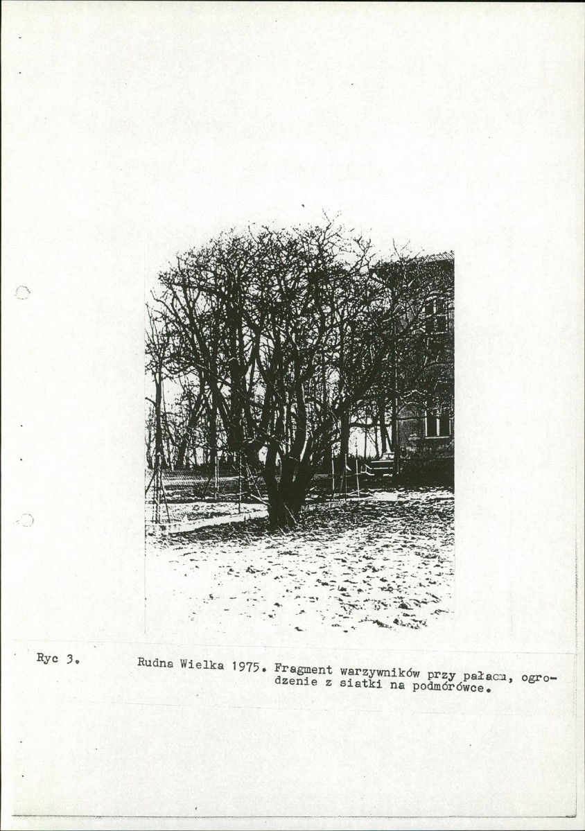 Ewidencja parkowa, skan nr 14