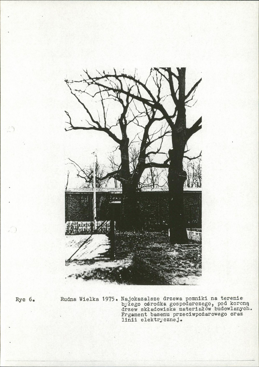 Ewidencja parkowa, skan nr 17