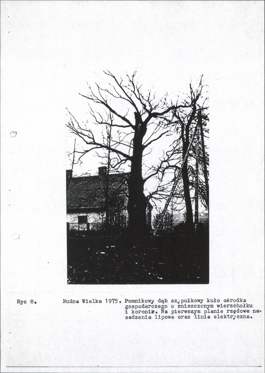 Ewidencja parkowa, skan nr 18