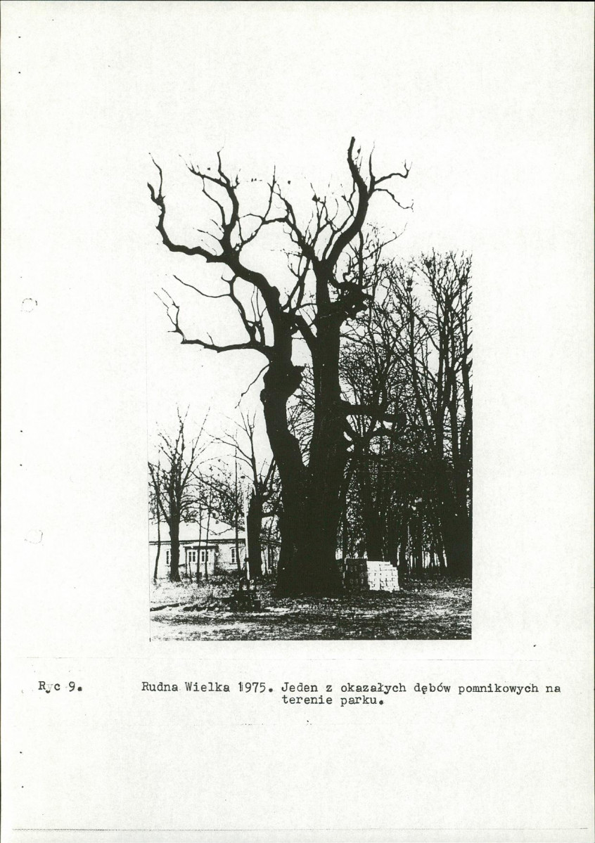 Ewidencja parkowa, skan nr 19