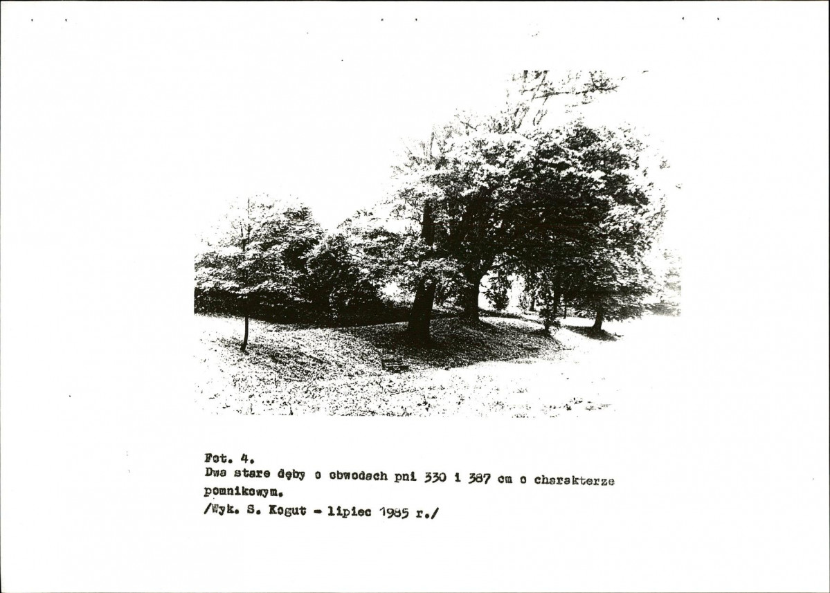 Ewidencja parkowa, skan nr 20