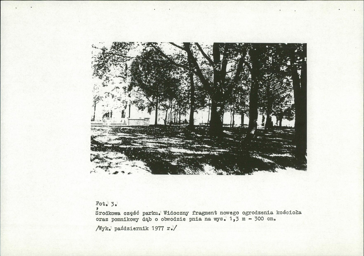 Ewidencja parkowa, skan nr 25