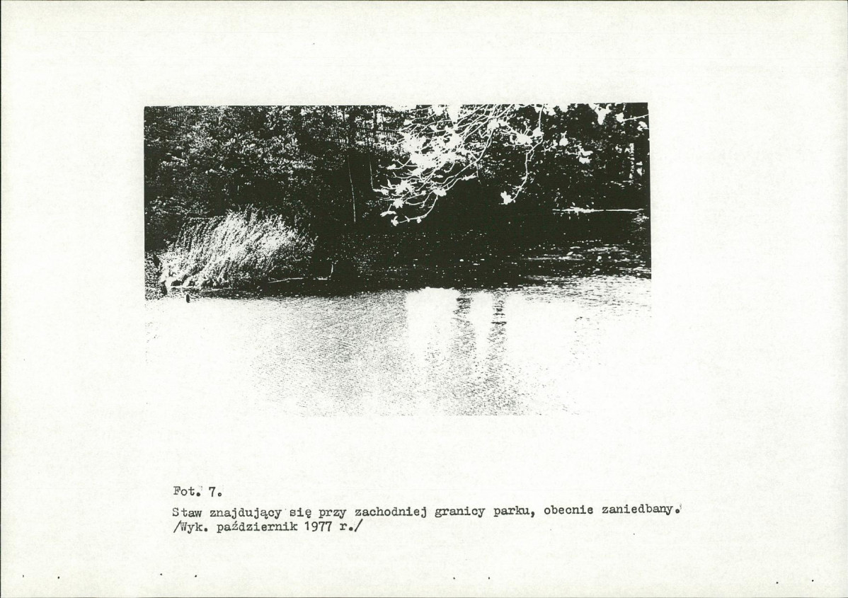 Ewidencja parkowa, skan nr 29