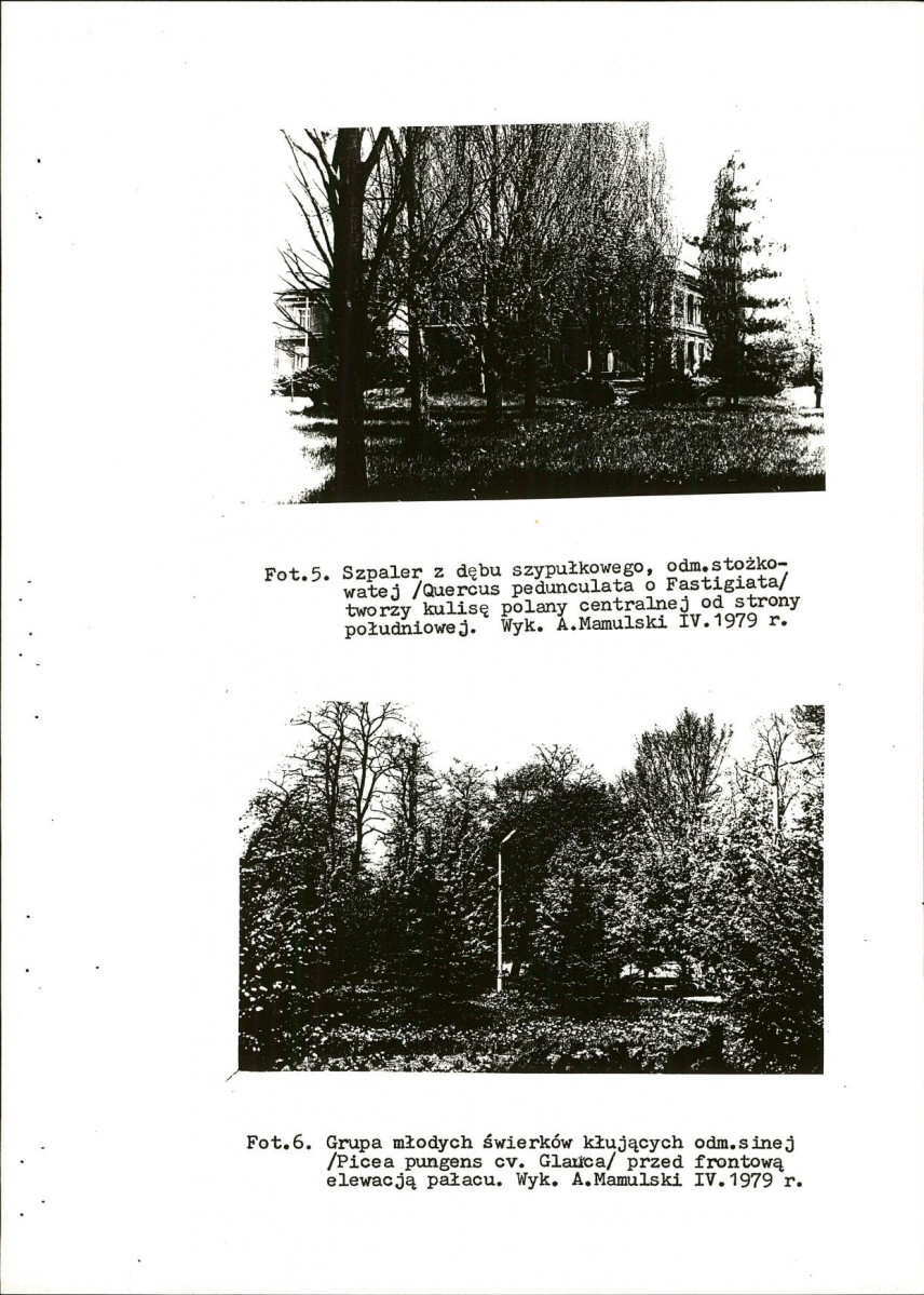 Ewidencja parkowa, skan nr 38