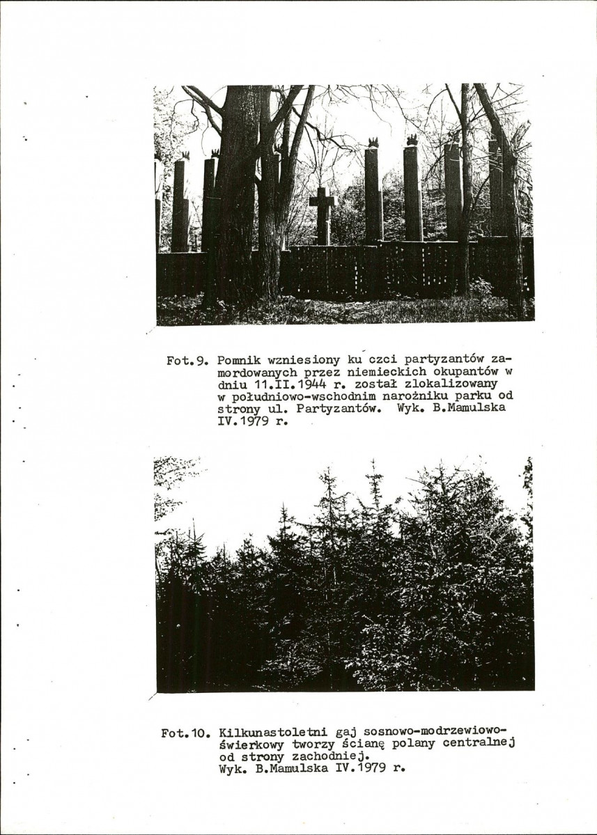 Ewidencja parkowa, skan nr 40