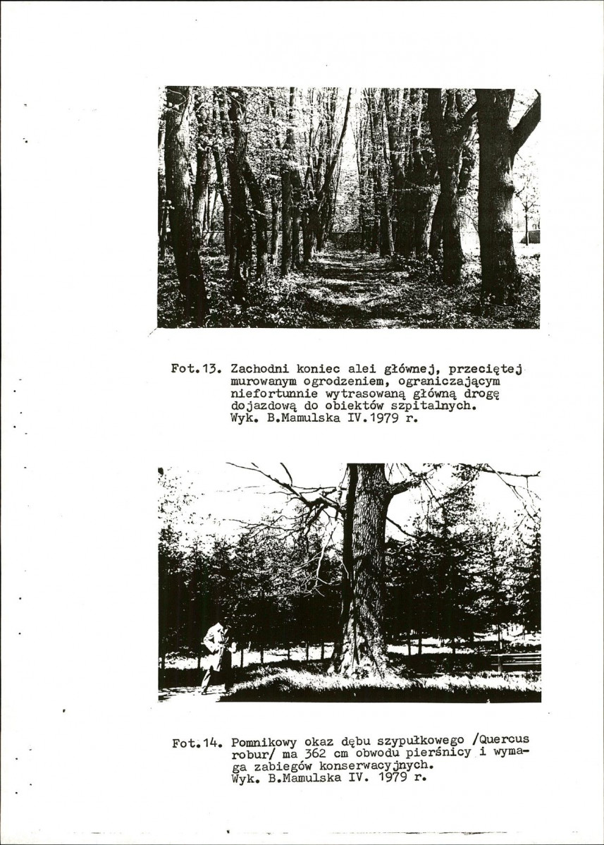 Ewidencja parkowa, skan nr 42