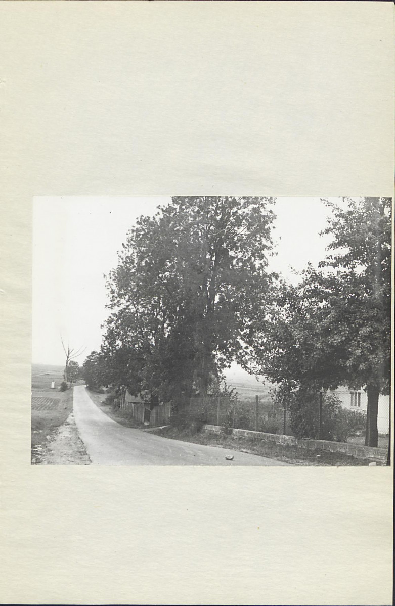 Ewidencja parkowa, skan nr 22