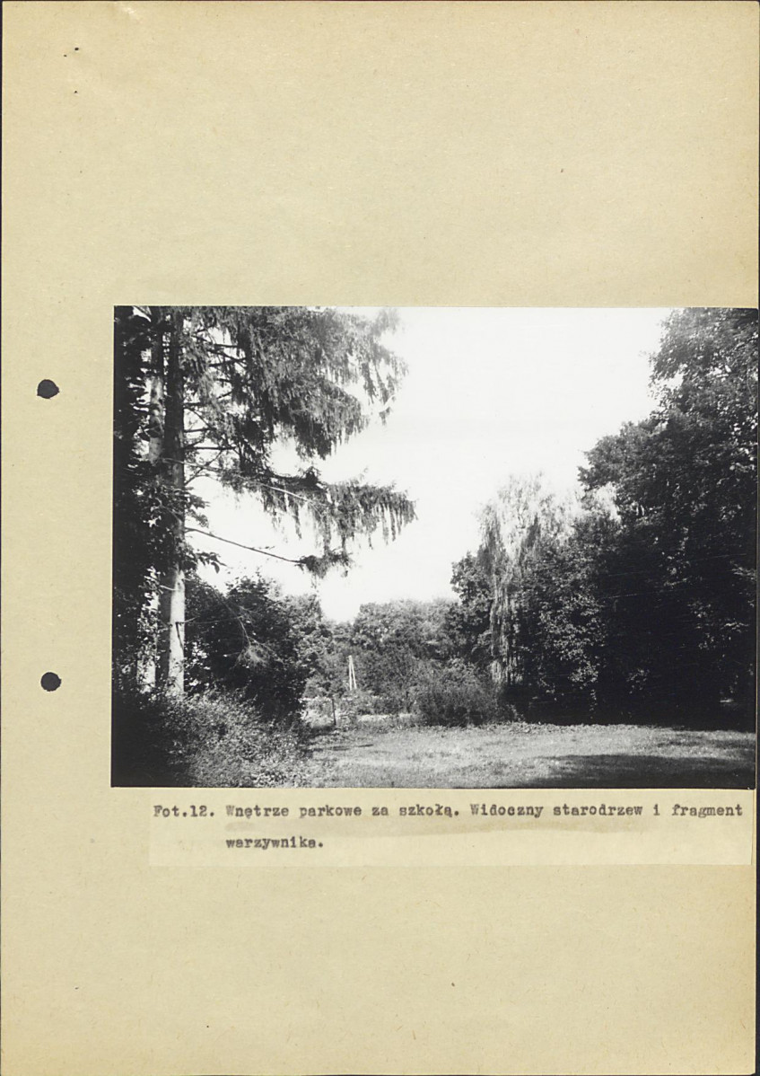 Ewidencja parkowa, skan nr 30