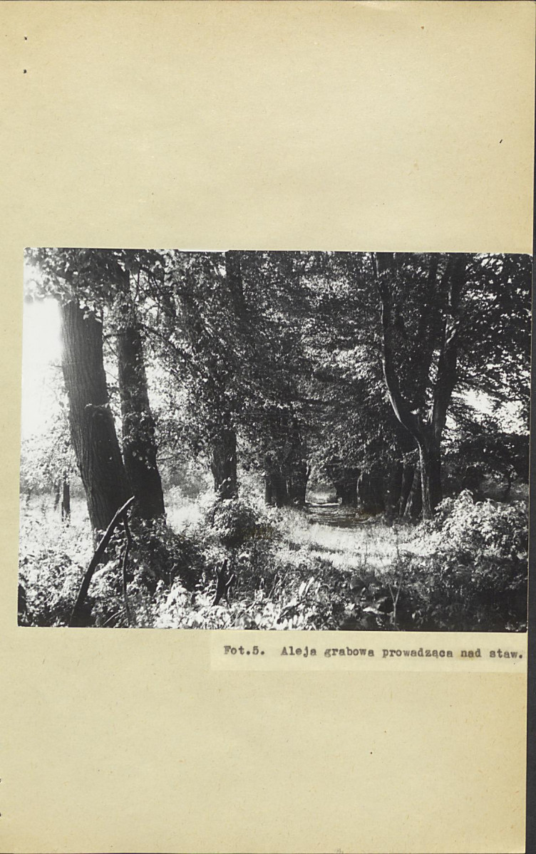 Ewidencja parkowa, skan nr 20