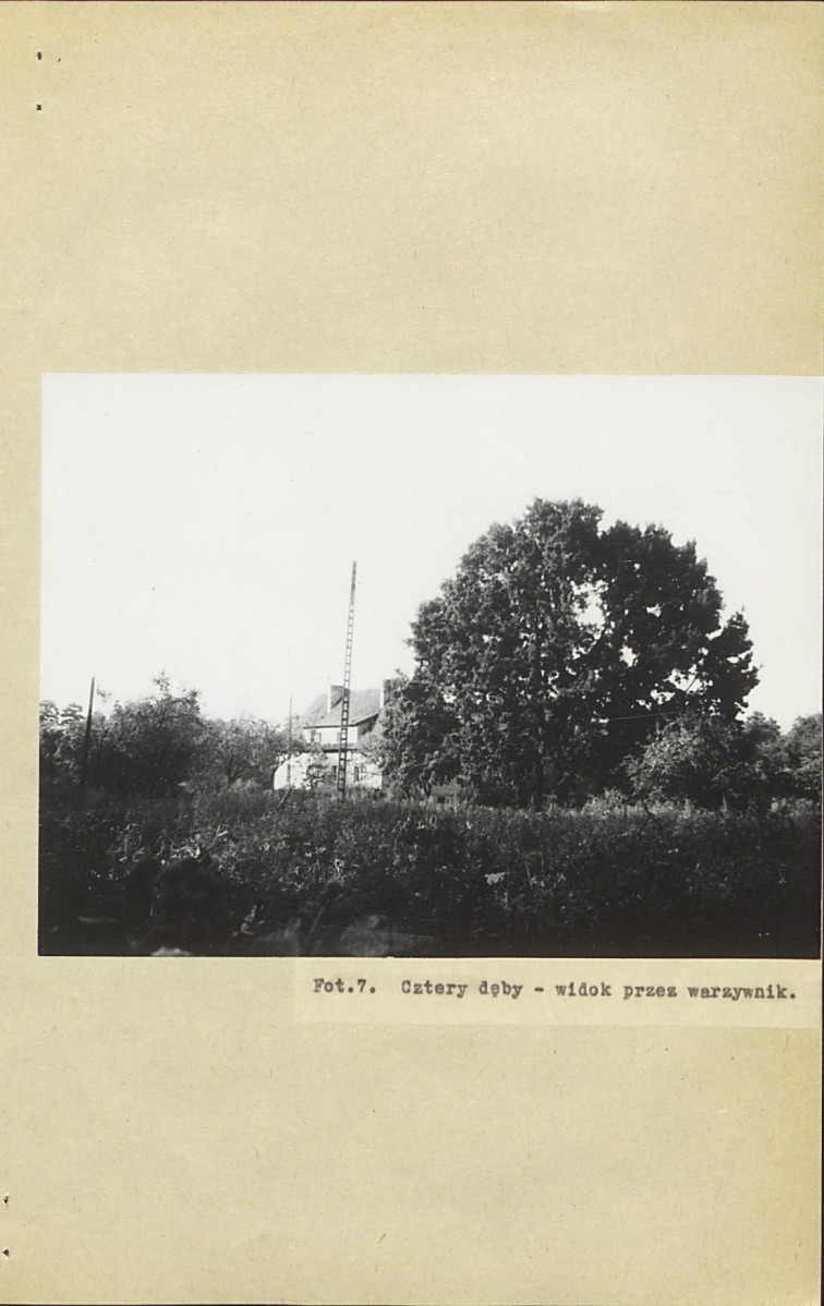 Ewidencja parkowa, skan nr 21