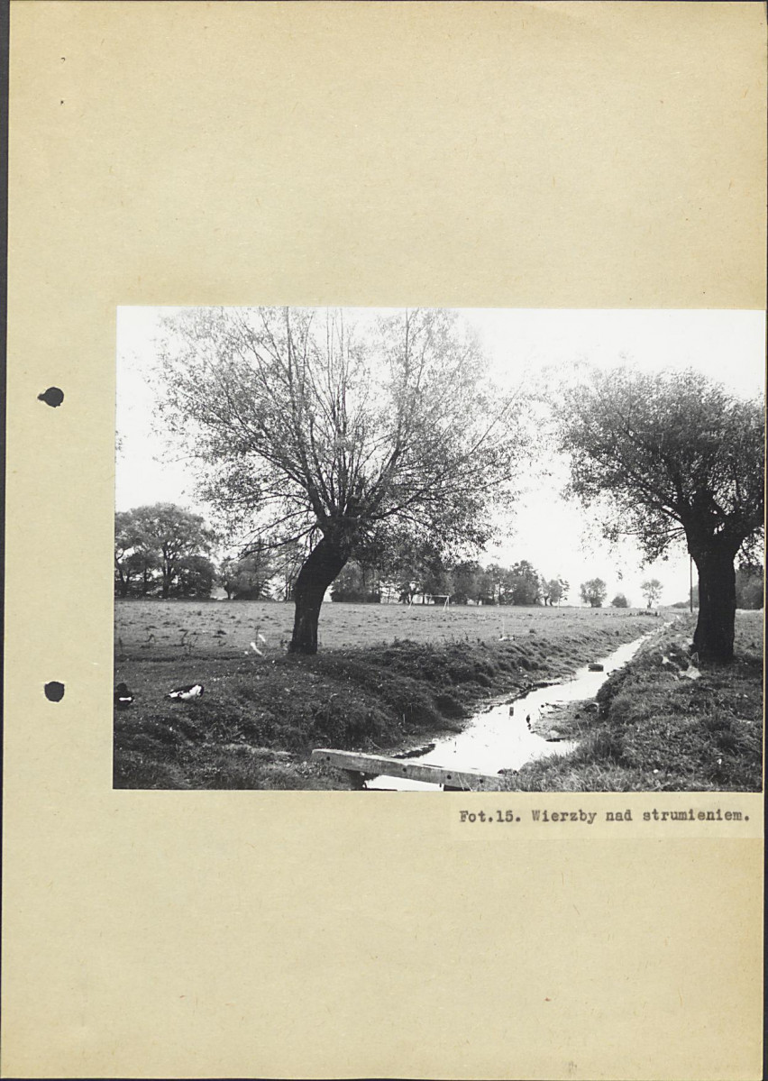 Ewidencja parkowa, skan nr 29