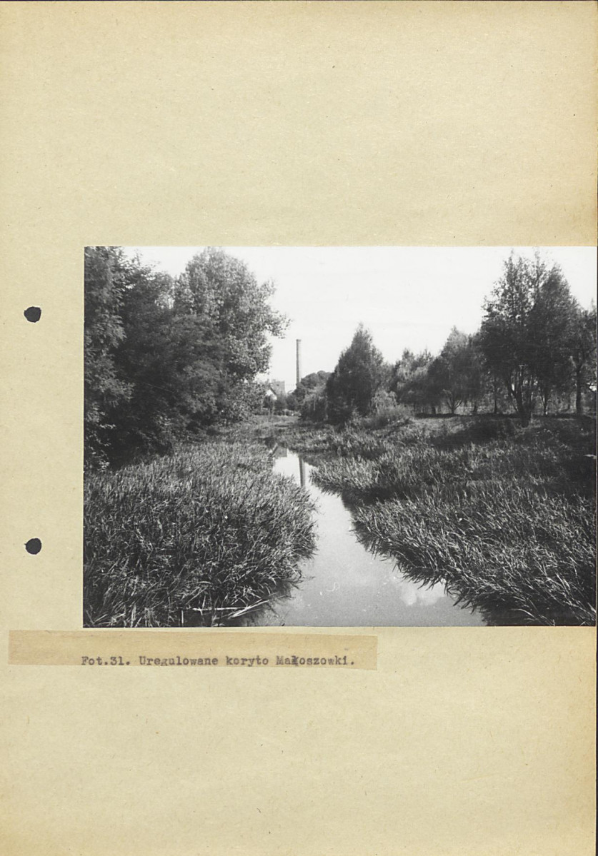 Ewidencja parkowa, skan nr 54