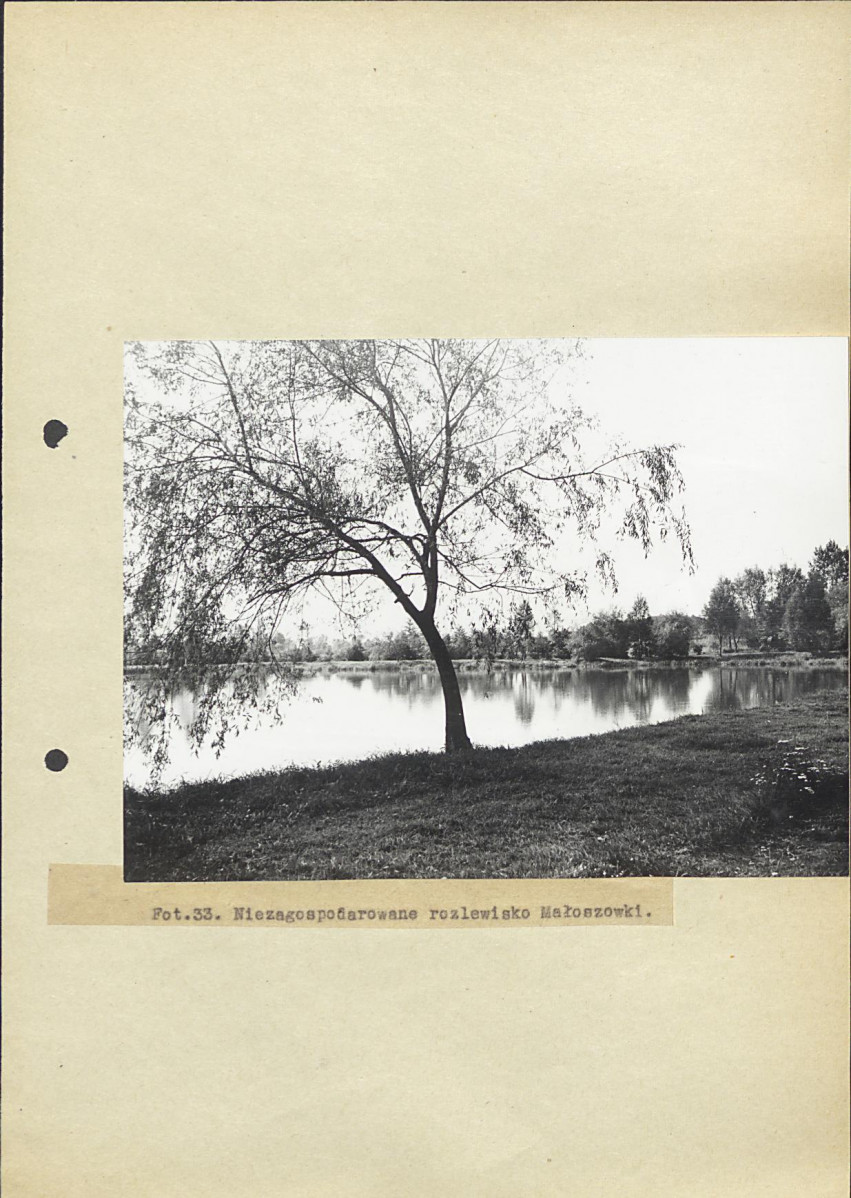 Ewidencja parkowa, skan nr 56