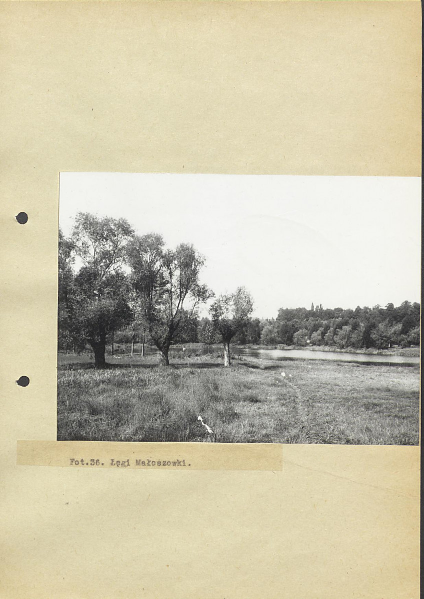 Ewidencja parkowa, skan nr 59