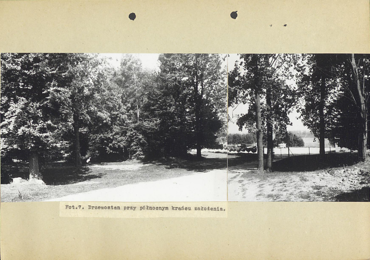 Ewidencja parkowa, skan nr 20