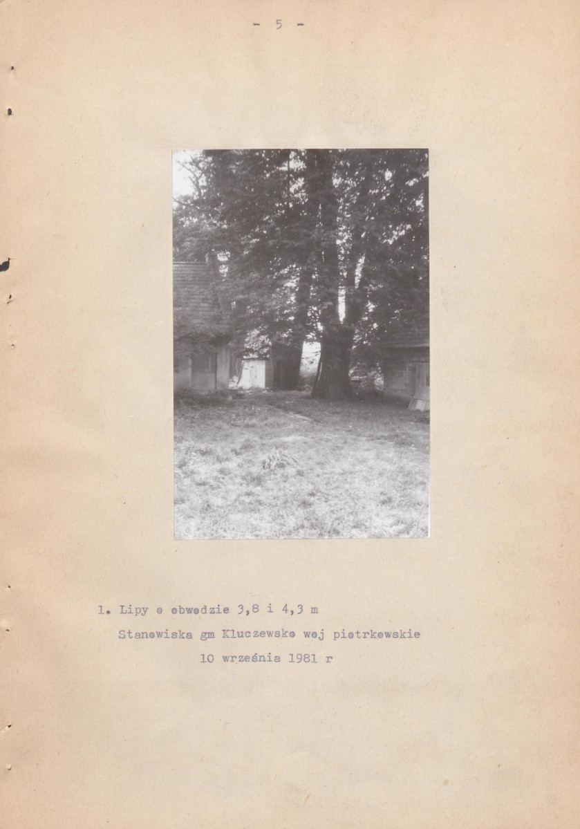 EP - Ewidencja parkowa, skan nr 13
