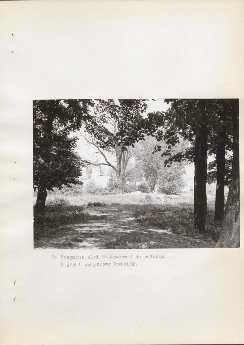 Ewidencja parkowa, skan nr 32