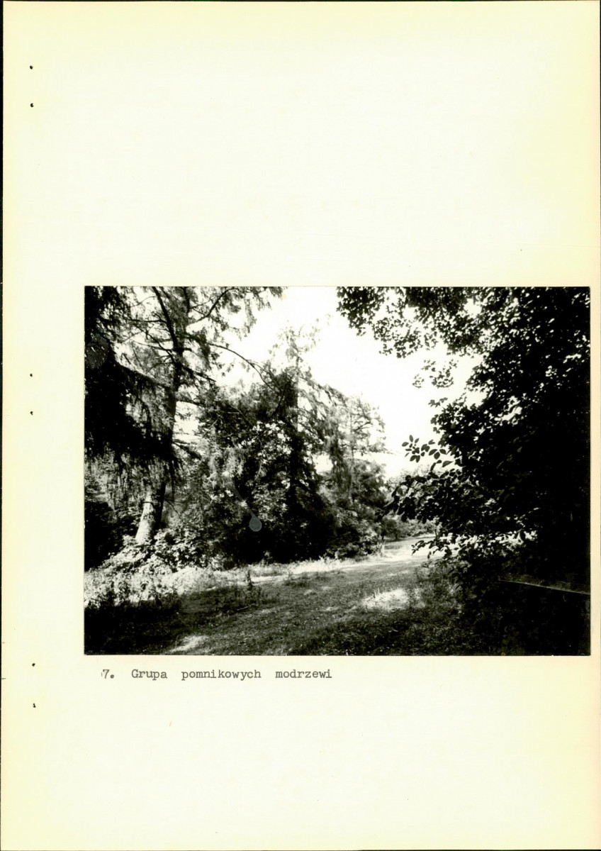 EP - Ewidencja parkowa, skan nr 38