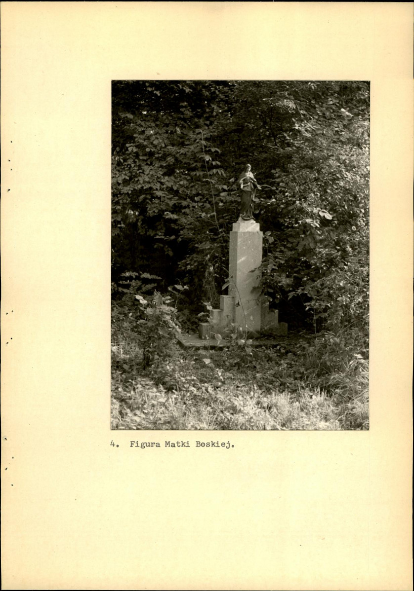 Ewidencja parkowa, skan nr 28