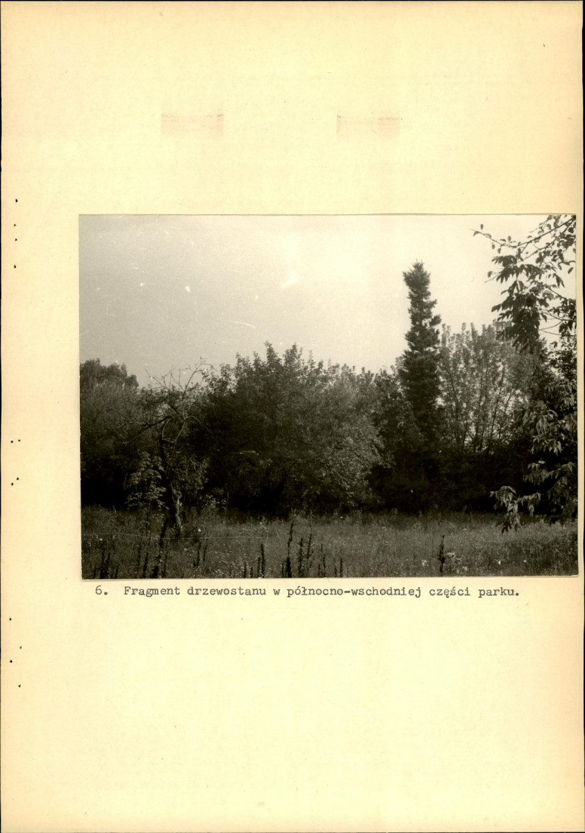 Ewidencja parkowa, skan nr 30