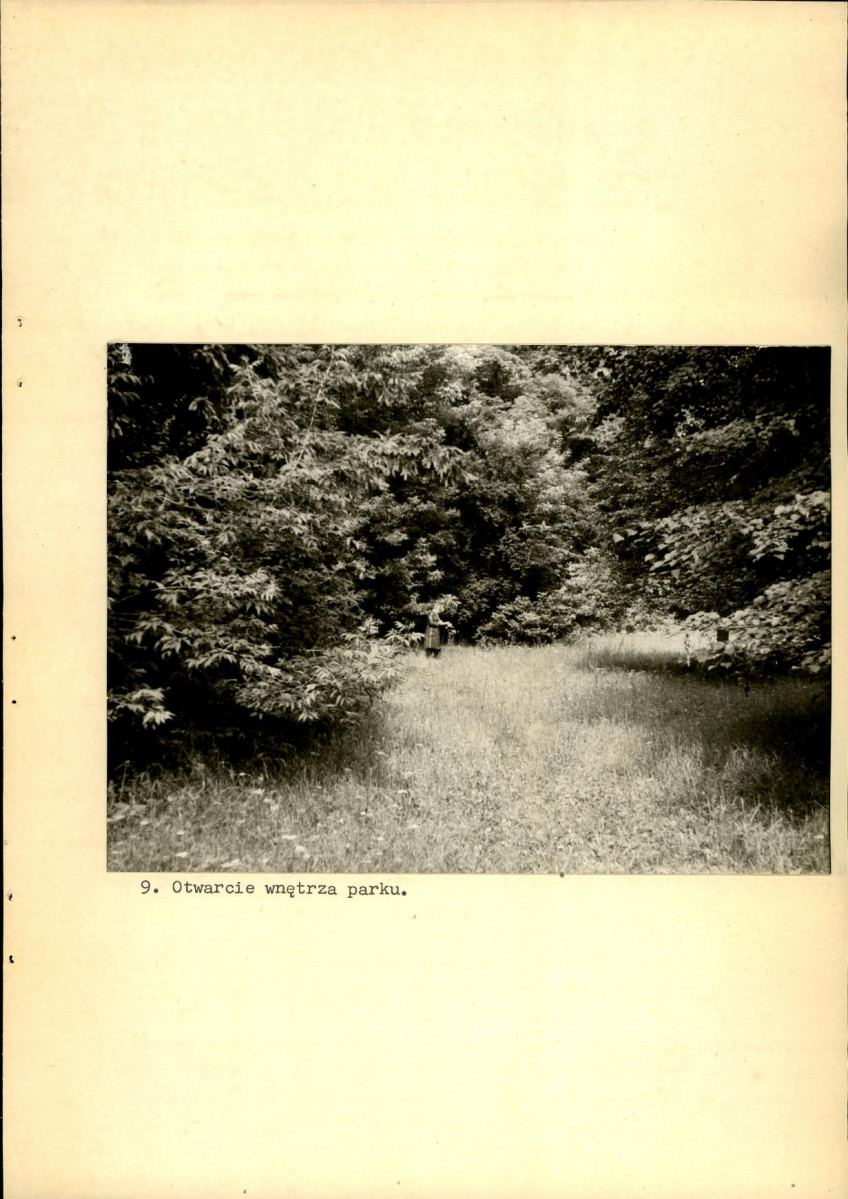 Ewidencja parkowa, skan nr 34