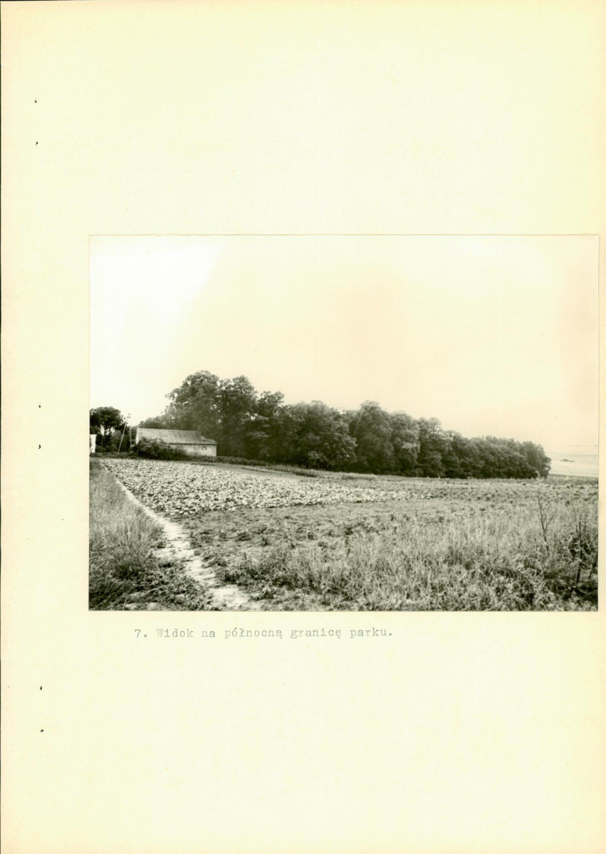 EP - Ewidencja parkowa, skan nr 36